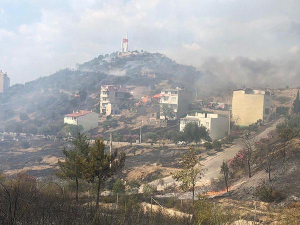 İzmirde yangın Zeytinlikten evlere sıçradı