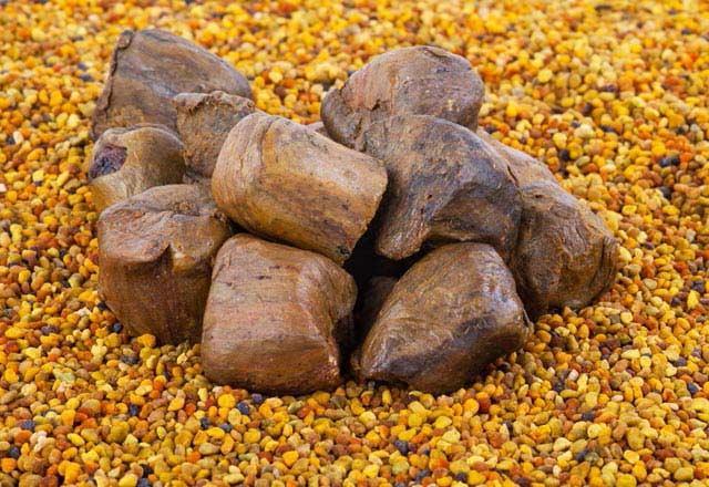 Faydalarına gelecek olursak propolis;