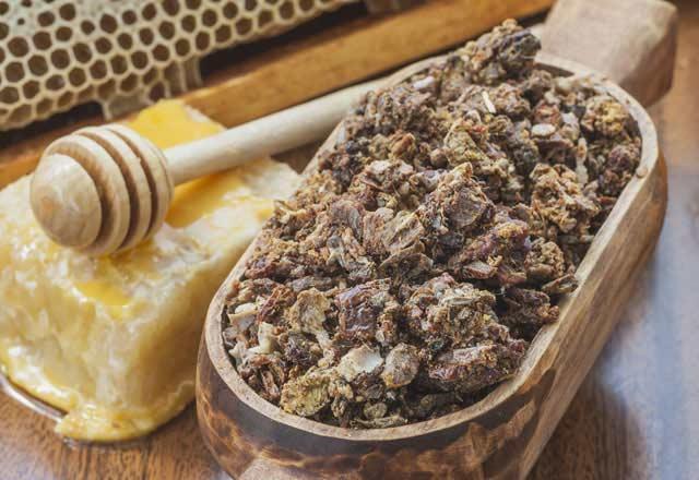 Peki, propolisin bu kadar faydası var iken, biz nerelerden ulaşabiliriz 