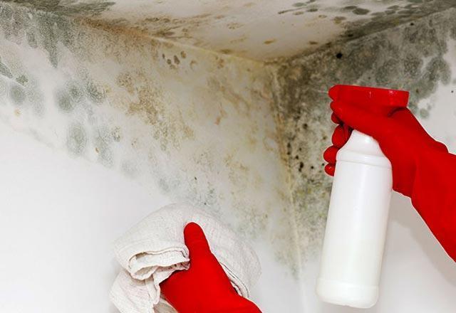 Sirke ve boraks karışımı