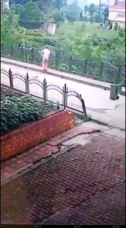 Şoke eden görüntüler Yavru köpeği faraşa koyup...