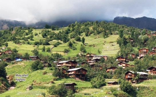 Sıcaktan bunalanlara yayla havası