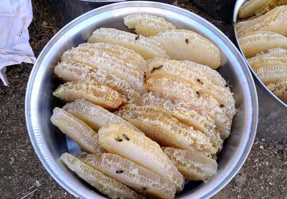 3 bin rakımlı yaylalarda karakovan balı