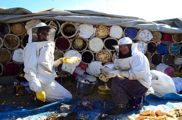 3 bin rakımlı yaylalarda karakovan balı