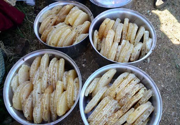 3 bin rakımlı yaylalarda karakovan balı