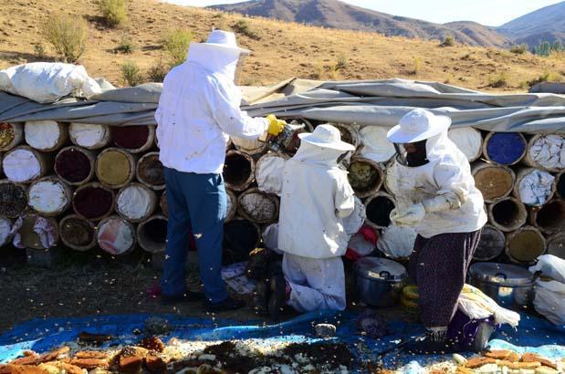 3 bin rakımlı yaylalarda karakovan balı
