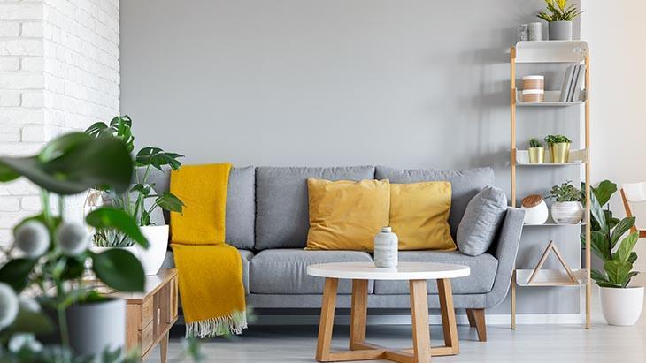 Savurganlıktansa ihtiyacınız olanı alın