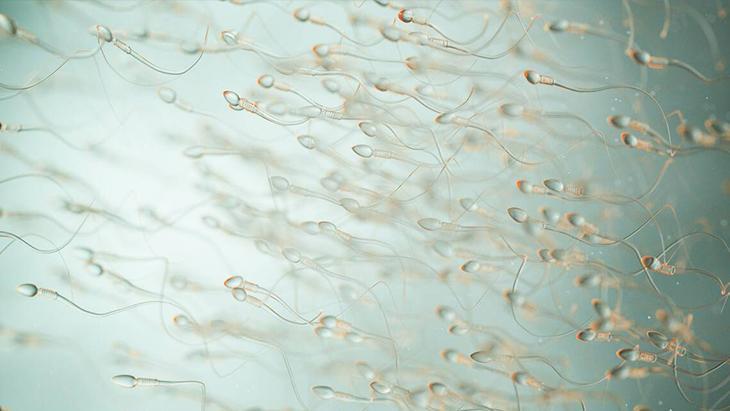 6-Her 3 ayda bir sperm testi yaptırılmalı
