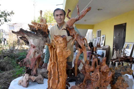 Ağaç köklerine şekil veriyor