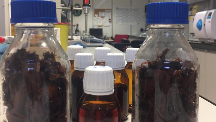 TÜBİTAK da destek verdi