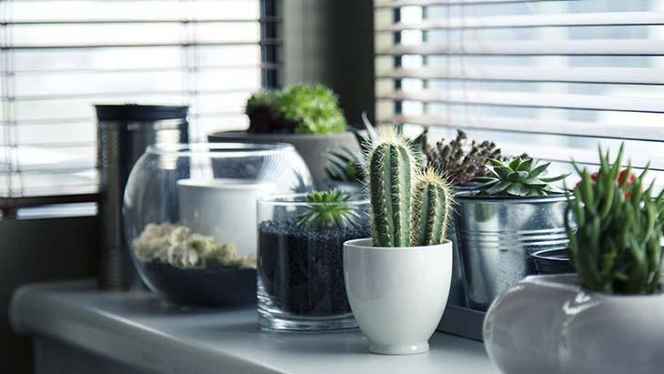 Alüminyum konserveleri ev dekorasyonunda kullanın Alüminyum konserveleri ev dekorasyonunda kullanın