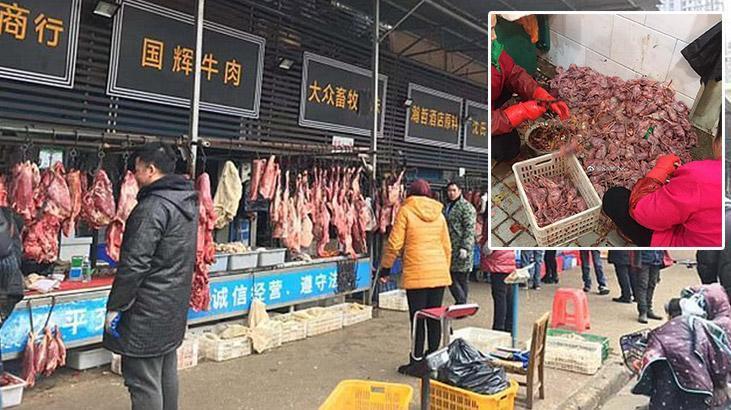 Son dakika... Salgın yarasaları işaret ediyor Koronavirüs bakın nasıl ortaya çıktı