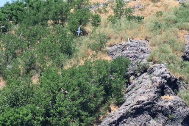 Hoynat Adası’na ziyaretçi akını