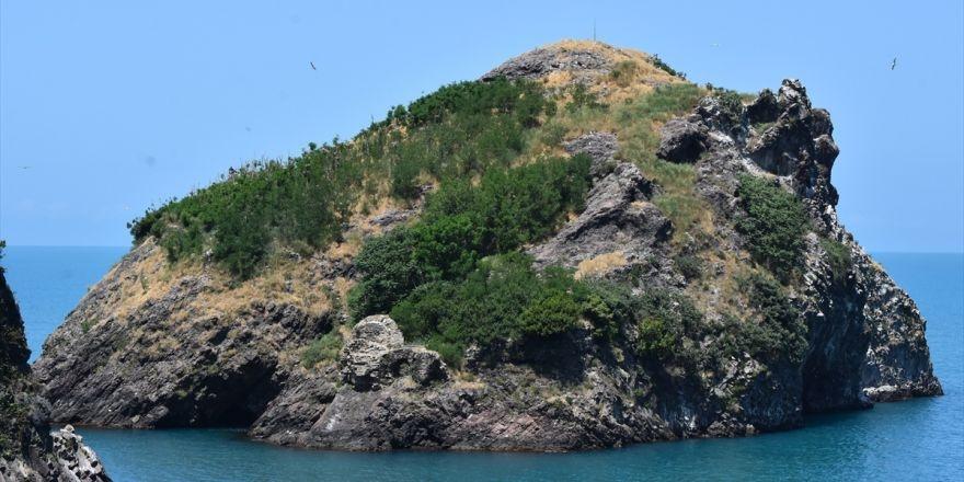 Hoynat Adası’na ziyaretçi akını