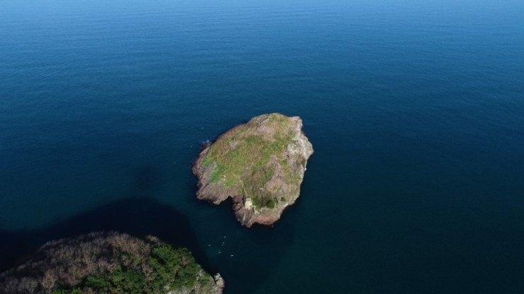 Hoynat Adası’na ziyaretçi akını
