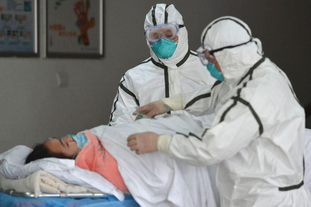 Son dakika... Salgın yarasaları işaret ediyor Koronavirüs bakın nasıl ortaya çıktı