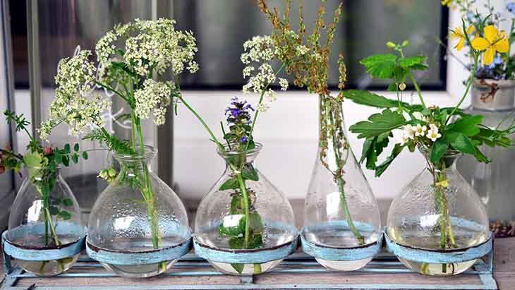 Beşinci adım Beşinci adım