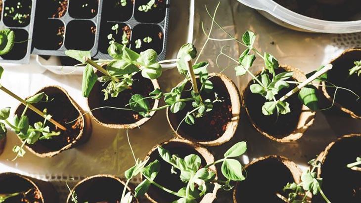 Püf noktası Püf noktası