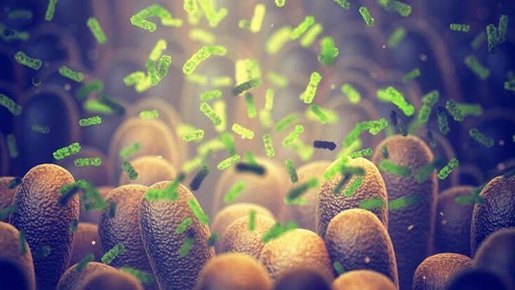 Vücudumuz da üretiyor