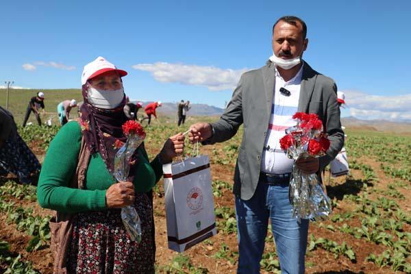 Tarlada çalışan kadınlara Anneler Günü sürprizi Tarlada çalışan kadınlara Anneler Günü sürprizi