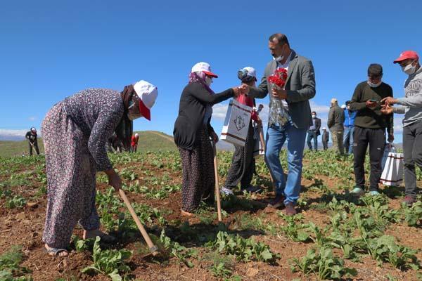 Tarlada çalışan kadınlara Anneler Günü sürprizi Tarlada çalışan kadınlara Anneler Günü sürprizi