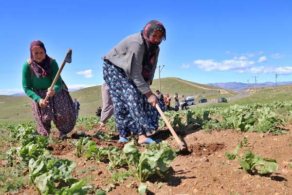 Tarlada çalışan kadınlara Anneler Günü sürprizi Tarlada çalışan kadınlara Anneler Günü sürprizi
