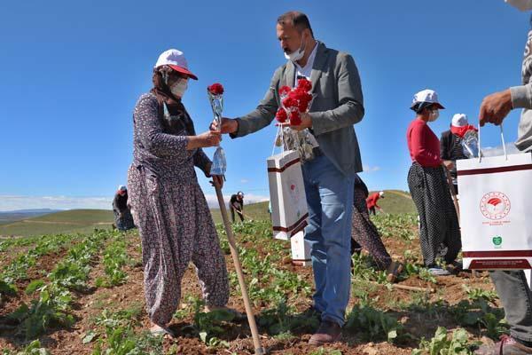 Tarlada çalışan kadınlara Anneler Günü sürprizi Tarlada çalışan kadınlara Anneler Günü sürprizi