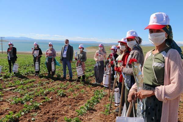 Tarlada çalışan kadınlara Anneler Günü sürprizi Tarlada çalışan kadınlara Anneler Günü sürprizi