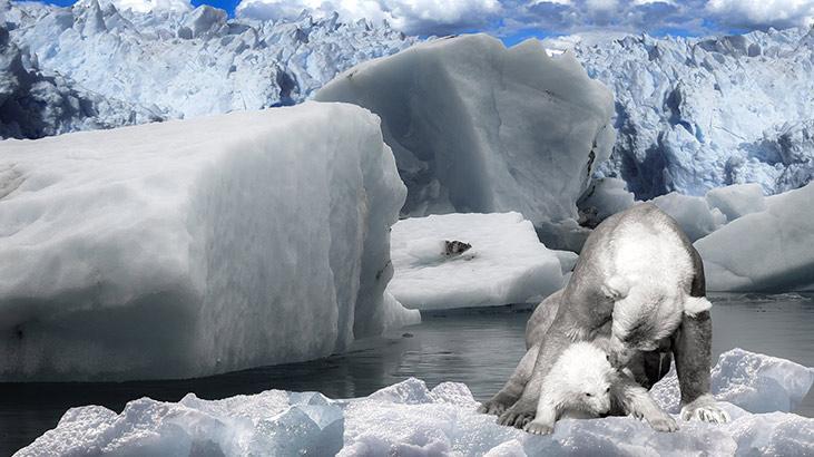 Nesli tükenmeye başlayan hayvanlar sizi çağırıyor