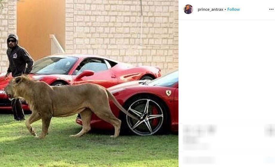 Bücürün sağ koluydu Tetikçi lüks aracında böyle bulundu...