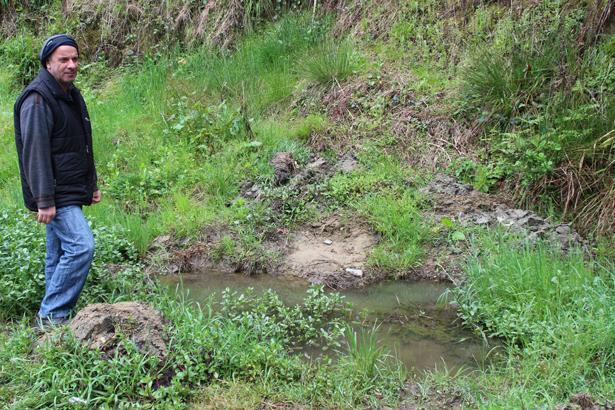 Son dakika: O iller için yılan uyarısı yapıldı Kalın kıyafet ve bot giyin...