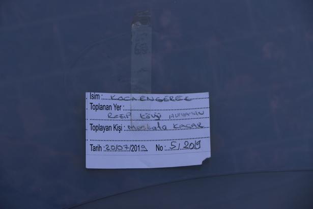 Son dakika: O iller için yılan uyarısı yapıldı Kalın kıyafet ve bot giyin...