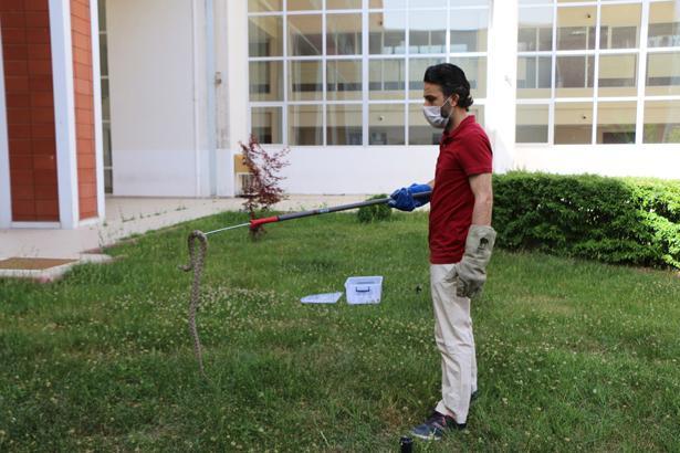 Son dakika: O iller için yılan uyarısı yapıldı Kalın kıyafet ve bot giyin...