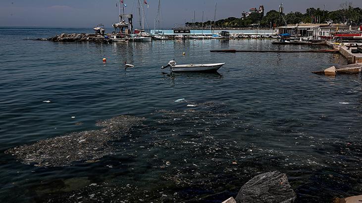 Bu kez caddebostan! Deniz kiyisi pislik içinde
