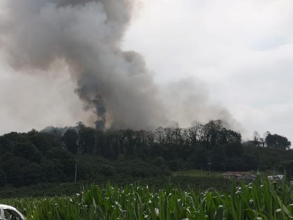 Son dakika: Sakaryada havai fişek fabrikasında şiddetli patlama Bölgeden görüntüler...