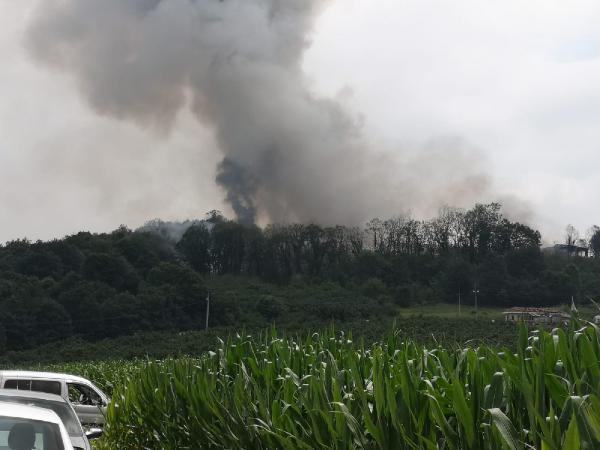 Son dakika: Sakaryada havai fişek fabrikasında şiddetli patlama Bölgeden görüntüler...