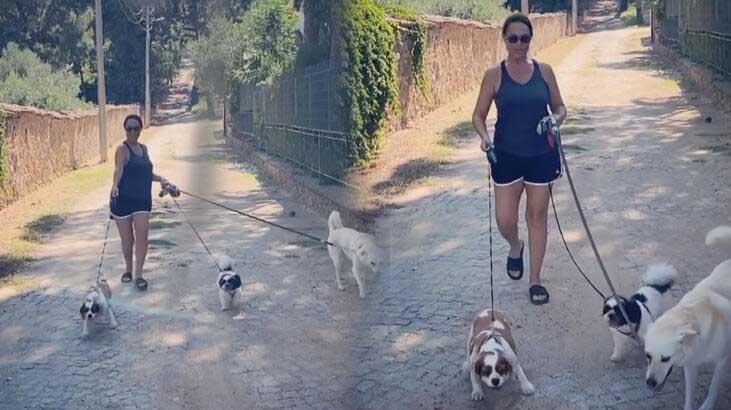 Hülya Avşar'ın köpekleriyle mücadelesi