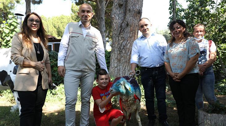 Ci̇mer'den kurbanlik isteyen vatandaşa, bakan pakdemirli'den hediye koç