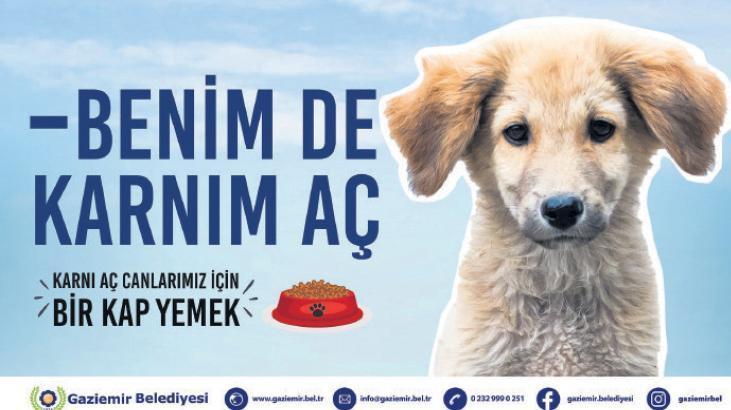 Sokaktaki dostlar için özel kampanya
