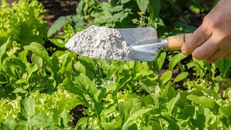 Bebe pudrası ile evdeki sorunları çözmenin 11 yolu