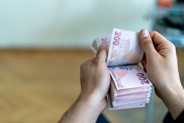 TL mevduatları