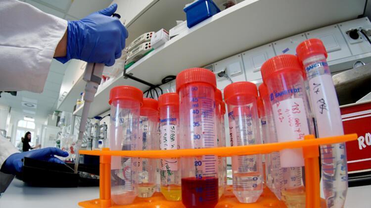 Virüsün en büyük düşmanı bitkiler