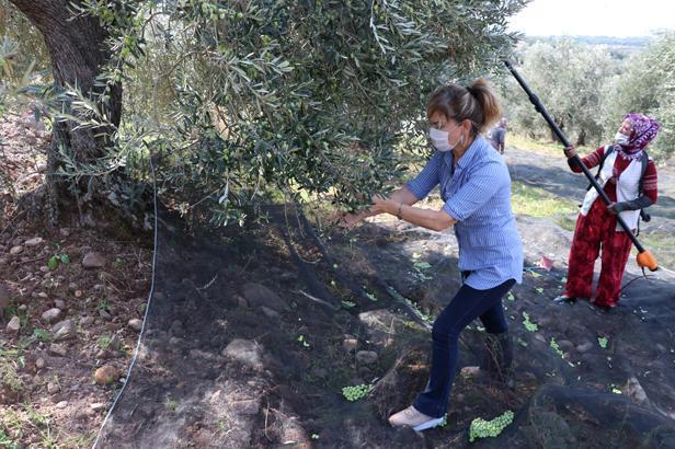 İhracat konusunda bize çok talep geliyor