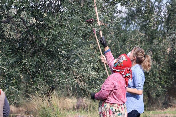 Bu iş için mühendisliği bıraktı ABDye bile gönderiyor