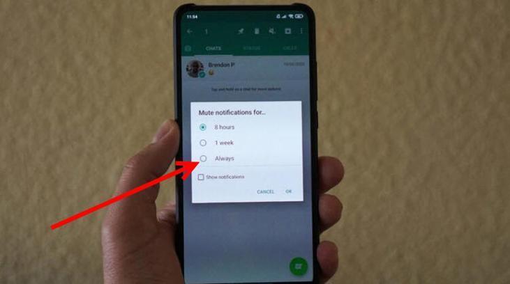 Herkes bu özelliği bekliyordu WhatsAppta artık süresiz Herkes bu özelliği bekliyordu WhatsAppta artık süresiz