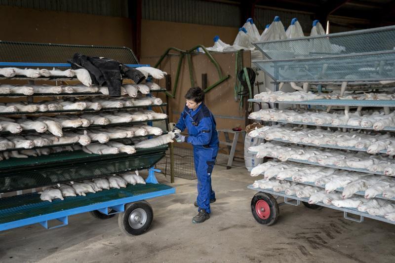 Son Dakika: Hepsini öldürüyorlar Dünya dehşete düştü... Son Dakika: Hepsini öldürüyorlar Dünya dehşete düştü...