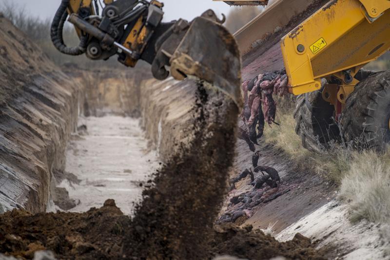 Son Dakika: Hepsini öldürüyorlar Dünya dehşete düştü... Son Dakika: Hepsini öldürüyorlar Dünya dehşete düştü...