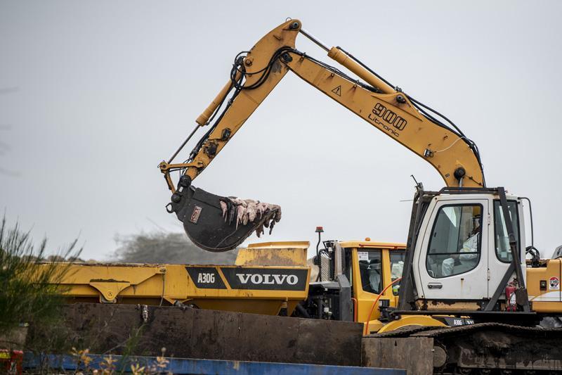 Son Dakika: Hepsini öldürüyorlar Dünya dehşete düştü... Son Dakika: Hepsini öldürüyorlar Dünya dehşete düştü...