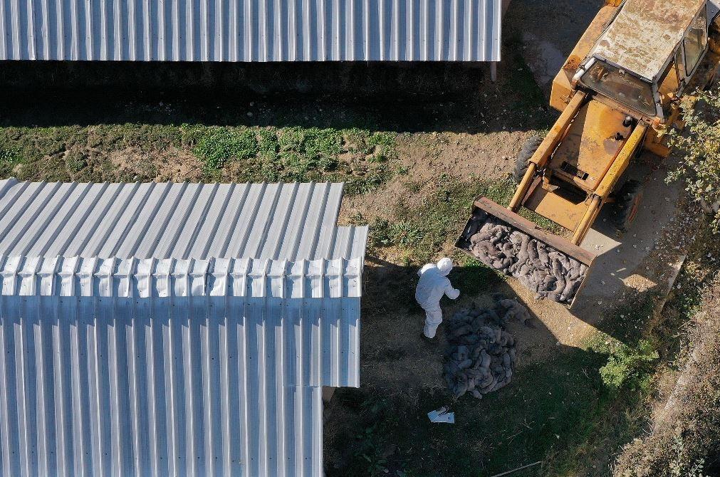 Son Dakika: Cluster-5 virüsü paniğe yol açıyor Dünya diken üstünde...