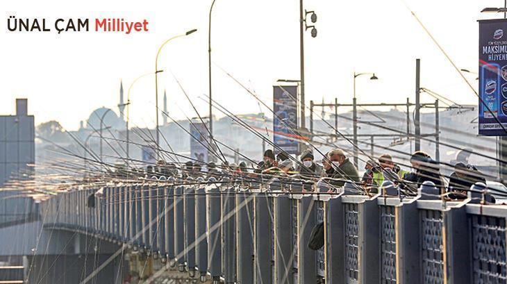 VİRÜSE RASTGELE